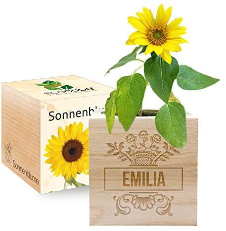 Gravierter EcoCube Vorname (Sonnenblume)