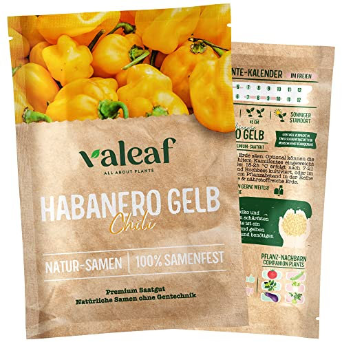 valeaf Chili Samen I Premium Chilisamen zur Chili Anzucht I Von scharf bis mild I Chili-Vielfalt als samenfestes Chili Saatgut I Pflanzen Samen zum Chili Pflanzen (Chili Habanero Gelb)