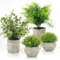 INSANYJ Artificial Plants Indoor Outdoo, 3 Packs Fake Plants, Plastic Plants Faux Plants with Pots Home Decor for Wedding, Party, Home Garden Bathroom Wall Decoration