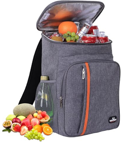 23L Zaino termico frigo, borsa frigo termica Porta Pranzo Zaino frigo termico portatile,mantiene il cibo caldo o freddo, adatto per campeggio, spiaggia, picnic, barbecue, eventi (Grigio)