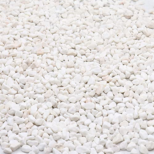 Premium Pebbles White Rocks Weiße dekorative Kieselsteine 1/5 Zoll - 2,3 kg für Garten, Landschaftsbau, Innenbereich, Vasenfüller, Basteln, Sukkulenten, Töpfe, Pflanzen (Mini (0,2 Zoll), Weiß -