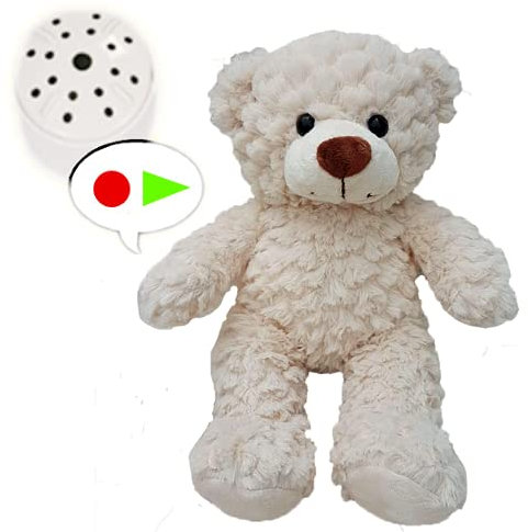 Little Crinkle Cream Teddy with 60 Second Voice Recorder - 10/25cm - Recordable Teddy Bear Gift - Baby Heartbeat Bear