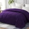 Yebeda Piumino per 4 stagioni, 220 x 240 cm,Trapunta in Microfibra, Piumone per Letto Matrimoniale, Traspirante e Super Morbido per Tutte le Stagioni, Viola