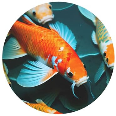 Hd Koi-Fische, magnetische runde Kühlschrankmagnete, bezaubernde Designs, perfekt für personalisierte Heimdekoration