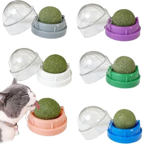 6 bolas de gato de hierba, pared de hierba gatera, cepilla los dientes de tu gato y protege tu estómago, juguetes para lamer gatos con hierba gatera, juguetes para gatos que se pegan a la pared