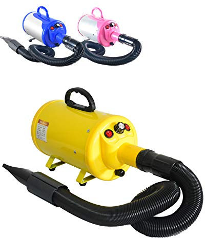 Gravitis Forniture per animali domestici 2800w Asciugacapelli professionale per animali domestici con tubo: potente essiccatore per cani Blaster con velocità variabile (giallo)
