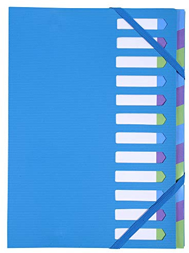 Exacompta 52362E Premium Ordnungsmappe Campus Neon Hardcover. Einband aus stabilem Kunststoff DIN A4 12 vollfarbige Fächer aus Karton mit dehnbarem Rücken und 2 Gummizügen Indexfenster blau