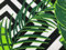 PINaPIN Baumwollgewebe Baumwollstoff 100% Baumwolle Stoffe meterware zum nähen Bettzeug, Dekorationen, Schutzmasken, Tischdecken 160cm (Monstera, Dschungel Auf Dem Zickzack)