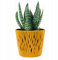 B2C Indoor Plant Pots with Insert Plastic Flowerpot Small Large Planter Home Decor Wavy Grooves Texture Removable insert (Mustard, 16cm)