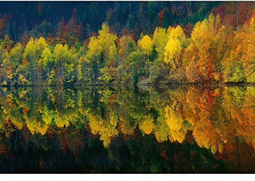Herbst Tapete mit Bäumen | Herbstwald Fototapete mit See für Esszimmer und Wohnzimmer | Wald Fototapete aus Vlies in Dunkelblau Grün und Gelb