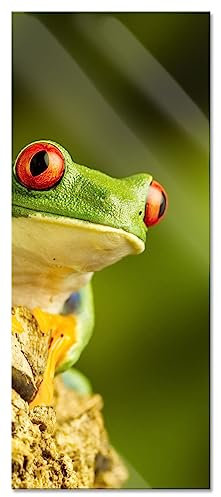 Pixxprint Glasbild Panorama, Wandbild aus Echtglas, Grüner Rotaugen Frosch, 100x40 cm, inkl. Aufhängung und Abstandshalter