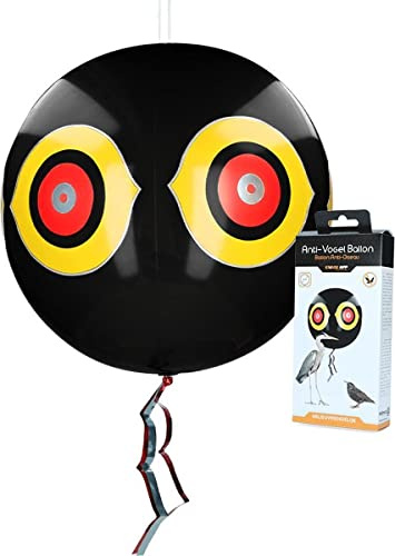 Knock Off Scare Ballon, Schwarz