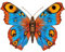 kleberio Wunderschöner Aufkleber - Schmetterling Pfauenauge - selbstklebend Sticker Autoaufkleber Wohnwagen Heckscheibenaufkleber Car Set Laptop Badezimmer Küche wetterfest 12 x 9 cm