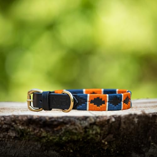 Lederne Hundehalsband Im Polo-Stil – Handgefertigt Aus Premiumleder – Robuste Schnalle – In 5 Größen & Mehreren Farben – MTB Equestrian (Orange/Blau, M)