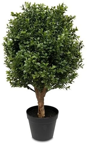 ambico Kunstpflanze Leon 60 – Höhe: 60cm – für Haus und Garten - UV-beständig - Buchsbaum mit Naturstamm