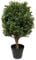 ambico Kunstpflanze Leon 60 – Höhe: 60cm – für Haus und Garten - UV-beständig - Buchsbaum mit Naturstamm