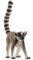 SCHLEICH Tiere 14827, Mehrfarbig,