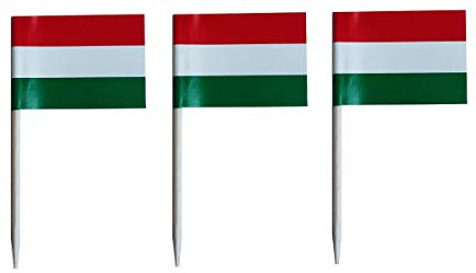 JAVD CYPS 100 Stück Ungarn-Flagge, Ungarische Zahnstocher-Flaggen, kleine Mini-Stick-Cupcake-Topper, Ungarien-Flaggen, Länder-Picks, Party-Dekoration, Feier, Cocktail, Essen, Bar, Kuchenflaggen
