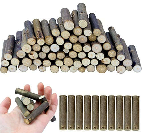 FSWCCK 100 st hantverkspinnar, 5 cm naturliga björkkkvistpinnar, minirätstock för gör-det-själv-hantverk, bondgård bordsuppsats och rustik heminredning