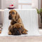 Rhodesian Ridgeback 3D Drucken Microfaser Kuscheldecke Flauschig Flanell Decke 150x200 Hund Tier Kinder Mädchen Jungen Weich Warm Wohndecke Tagesdecke für Sofa Couch und Bett TV-Decke
