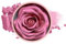Face Blushes, 3D Rose Petal Long Durable Lightweight Bustalab Blusher Flower Blush For Cheek Women Girls Parties Gathering Events