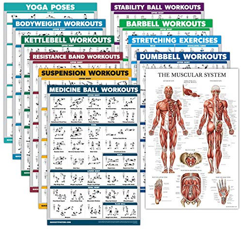 Übungsposter-Set: Hantel, Suspension, Kettlebell, Widerstandsbänder, Stretching, Körpergewicht, Langhantel, Yoga, Gymnastikball, Muskelsystem, Medizinball (laminiert, 45,7 x 68,6 cm), 11 Stück