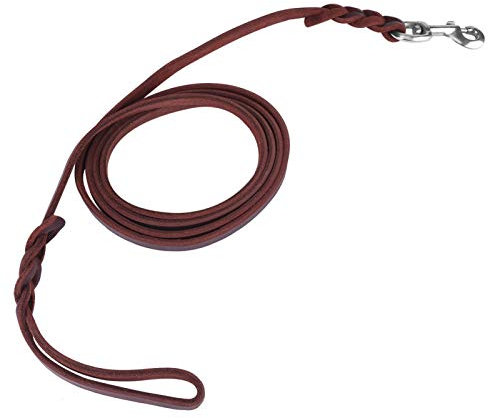 Hundeleine Rund, Hundeleine Leder, Leine Hund Ledergurt Sicherheitsseil für Hunde, die Lauftrainingswelpen Laufen(1.6m)