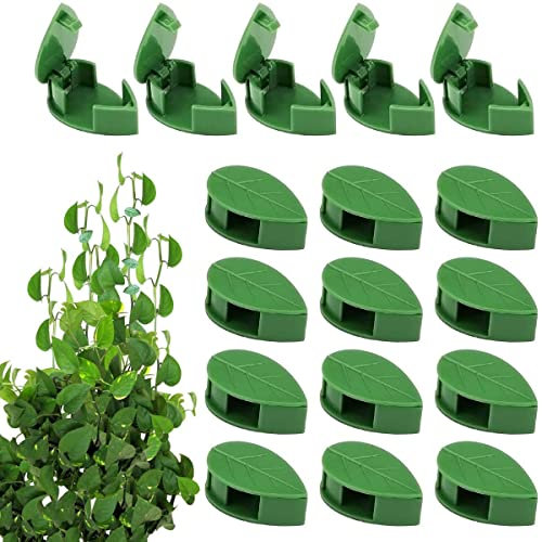 NP 30 Pcs Plant Fixture Clips Plant Wall Clips Leaf Shaped Holder Climbing Plant Holder Invisible Vines Holder for Cable Wire Fixing Cable Organizer