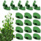 NP 30 Pcs Plant Fixture Clips Plant Wall Clips Leaf Shaped Holder Climbing Plant Holder Invisible Vines Holder for Cable Wire Fixing Cable Organizer