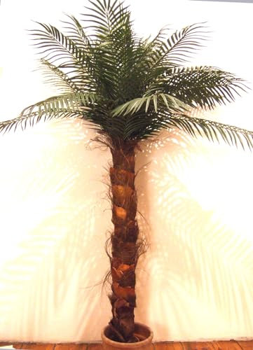 Licht & Grün exclusive Kunstpflanzen Künstliche Natural Palme 1,90mTop-Qualität Kunstpalme