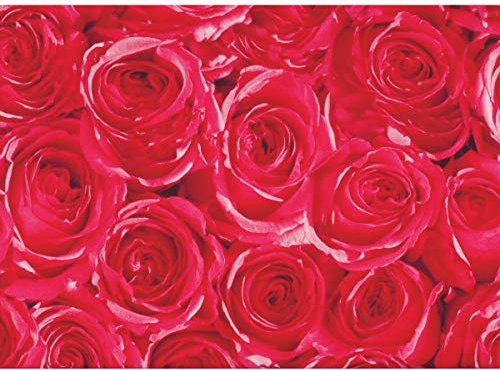 Klebefolie Möbelfolie rote Rosen 45 cm x 1500 cm Blumen - Bastelfolie Selbstklebefolie
