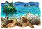 3D-Kühlschrankmagnet, Malediven, Schildkröten, Souvenir-Geschenk, Kunstharz, handgefertigt, Malediven, Kühlschrankmagnet, Heim- und Küchendekoration, Kollektion