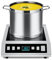 AMZCHEF Commercial - Plaque à induction portable professionnelle - 1800 W