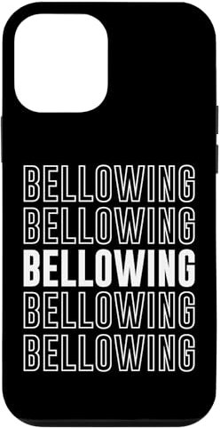 Hülle für iPhone 12 mini Blasebalg