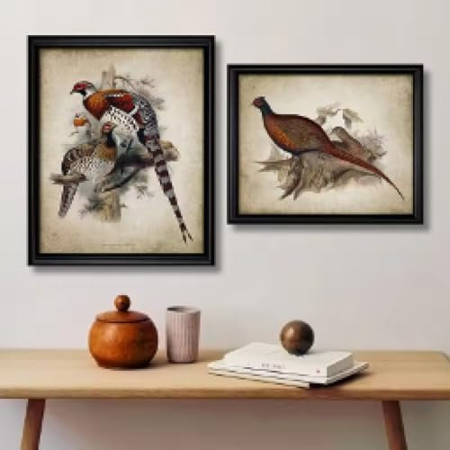 LIMAIDUO Impresiones artísticas de pared de faisán, póster de pájaro vintage, pintura en lienzo, juego de caza, impresión artística de pájaro para decoración de dormitorio, 20 x 30 cm x 2 sin marco