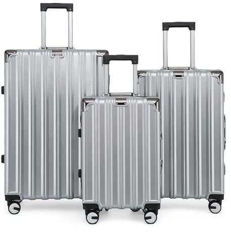 Infinity Leather Koffer Trolley Handgepäck Handgepäck Hartschale PC Reisetasche Leichtgewicht mit langlebigen 4 Spinner-Rädern (Silver, 3 Pcs Set)