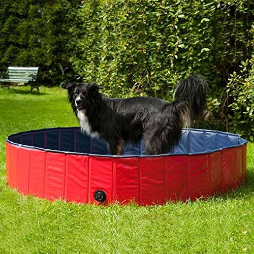Procyon Hundepool - 120 cm