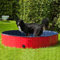 Procyon Hundepool - 120 cm