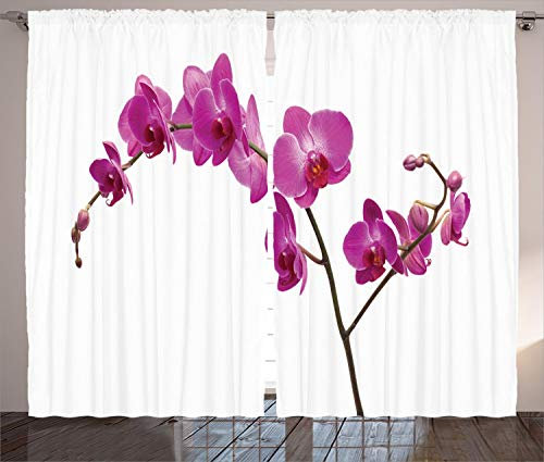 ABAKUHAUS Orchideen Rustikaler Gardine, Wilde Orchideen Petals, Schlafzimmer Kräuselband Vorhang mit Schlaufen und Haken, 280 x 225 cm, Violett