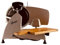 Palatina Werkstatt ® Berkel Red Line 250 | Trancheuse professionnelle originale | Grise, revêtement en téflon, ponceuse intégrée | + plateau de service en bois de fût | Modèle : 2022