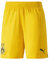 PUMA Manchester City Herren Shorts 2022/23, Ciber Gelb, L
