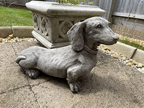 Standing Dachshund Stone Statue | Reconstituted Stone Puppy Dog Outdoor Garden Ornament Decoration