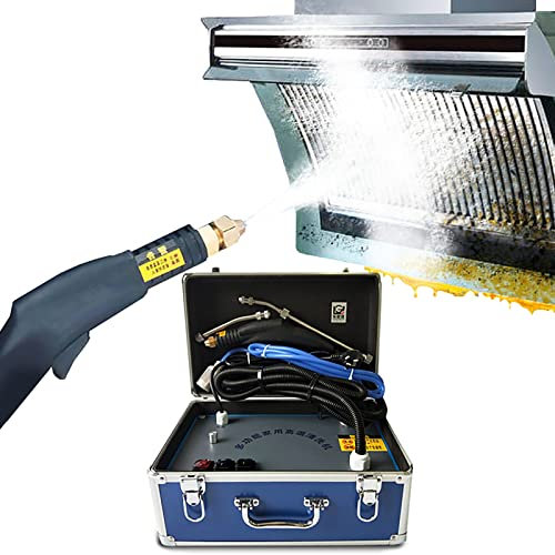 TEHONGMAI Nettoyeur à Vapeur Multifonctionnel de fumée d'huile de climatisation à Haute Pression, 3500w Nettoyeur portatif à Haute température d'huile de Cuisine