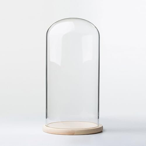 TIHONORI Dia 8 Cm Glass Cloche Dome Display with Solid Wood Base for Displaying Plants, Ornaments, Figurines,8 * 15cm
