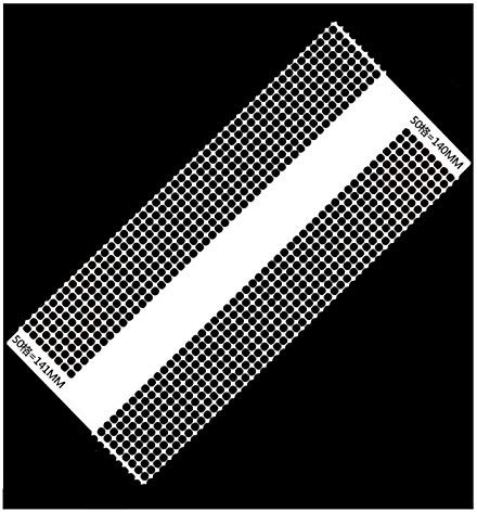 Xinlie Zeichenwerkzeug Lineal-Punkt-Bohrer-Werkzeug Diamond Drawing Tool Painting Embroidery Pictures Art Craft Drawing Point Drill Embroidery Mesh Ruler Steel Ruler Tool (16 Reihen mit 800 Löchern)