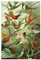 REINDERS Poster, Kolibries, Küche, Poster, Wanddeko, Room Decor, 150 gr. glänzend Bilderdruckpapier, Grün, 91,5x61cm