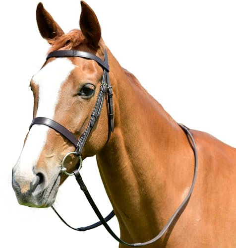 Kincade - Flaches Zaumzeug mit Zügeln für Pferde Classic, Leder (Cob) (Braun)