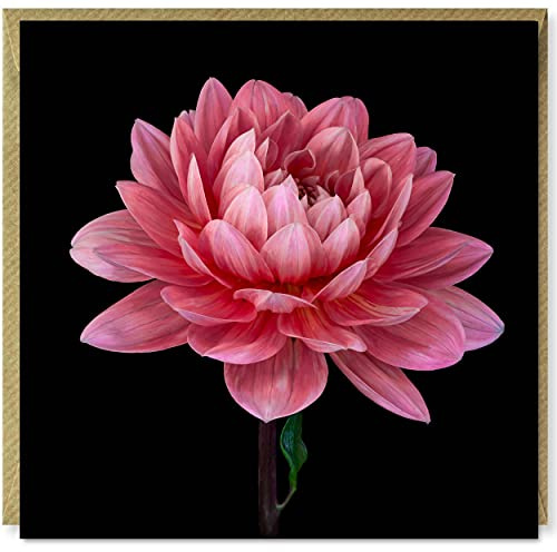 Kay Minter Grußkarte – Seerose Dahlia Geburtstag/Dankeschön – innen blanko, mit Umschlag...