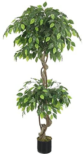 Leaf Realistic Artificial Japanese Fruticosa Tree, Natural Ficus, 150 cm (5ft)