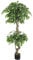 Leaf Realistic Artificial Japanese Fruticosa Tree, Natural Ficus, 150 cm (5ft)